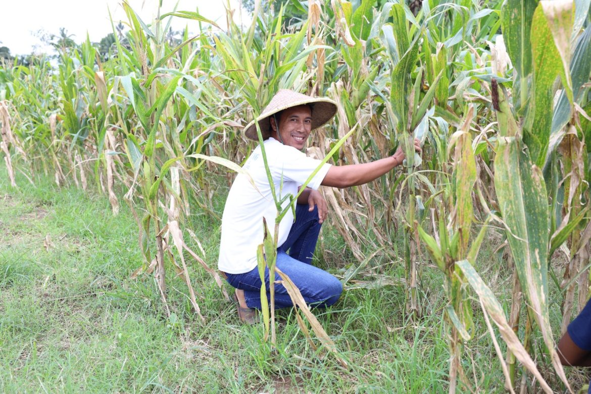 Reforma Agraria Lahirkan Regenerasi dan Kreativitas Petani Muda di Desa Soso