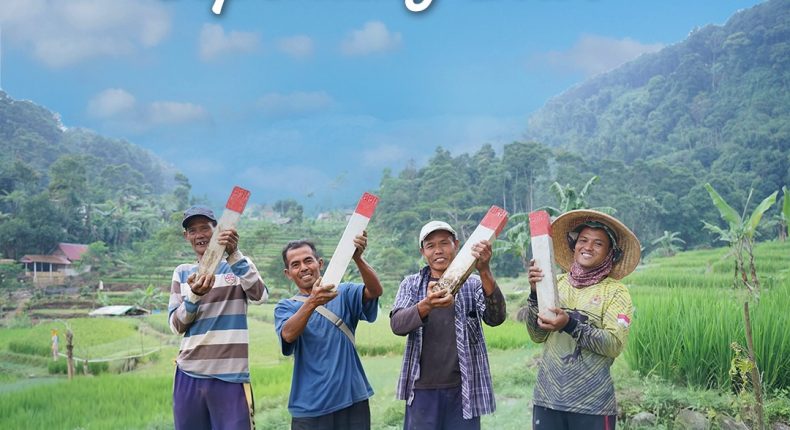 foto slider headline